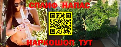 a pvp Моздок
