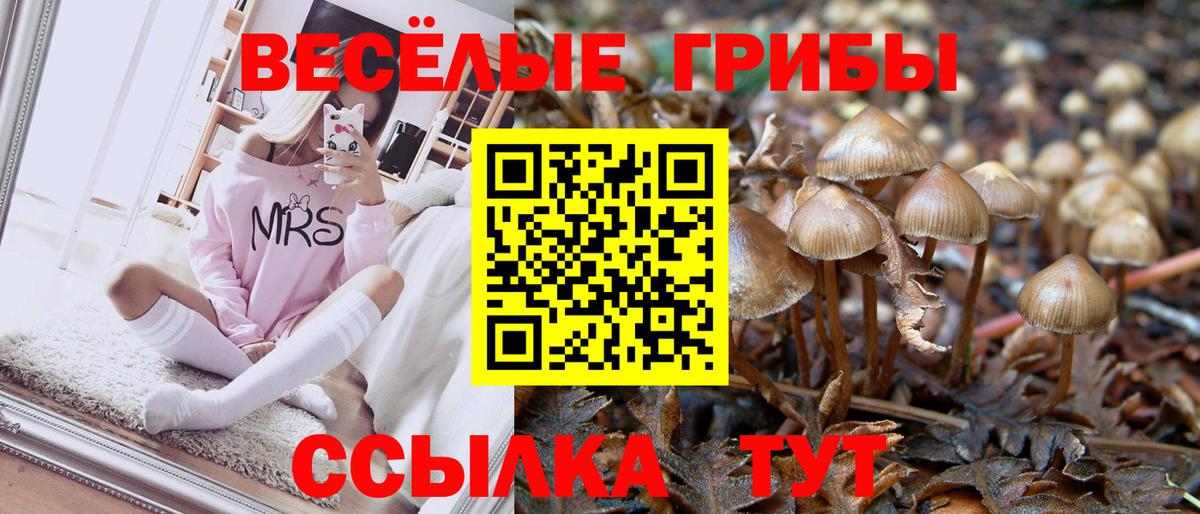 Псилоцибиновые грибы Cubensis  Вход с VPN  Братск 