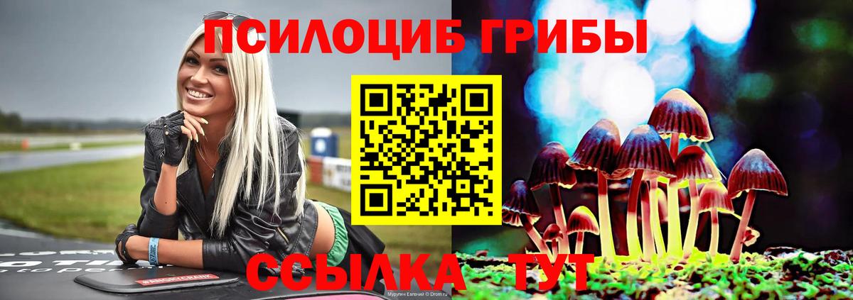 Галлюциногенные грибы Cubensis Братск